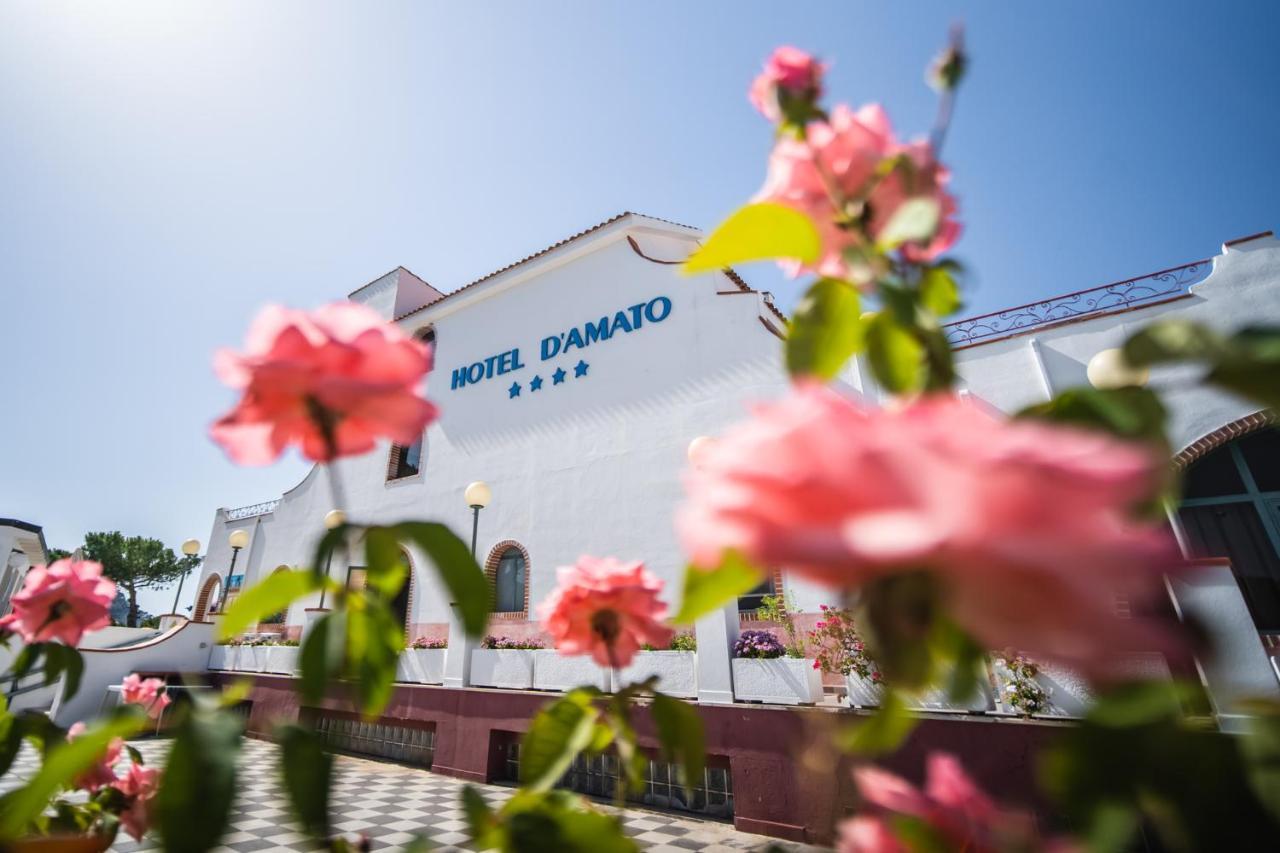 Hotel D'Amato ペスキチ エクステリア 写真
